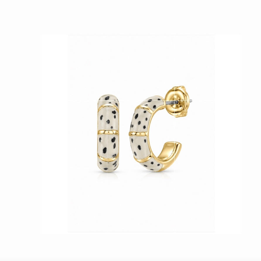 Dalmatian Jasper Hoops