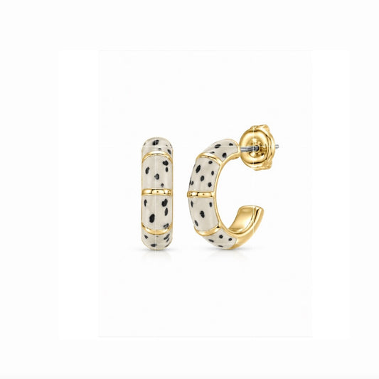 Dalmatian Jasper Hoops