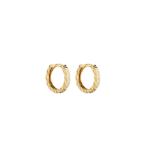 Faceted 9kt gold mini Hoops, for a first or second piercing.
